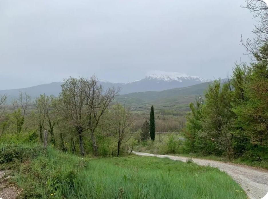 Appartamento Casa Luciana Santa Maria del Molise Esterno foto